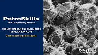 PetroSkills: Formation Damage and Matrix Stimulation Core