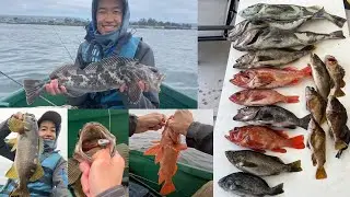Wide Open Swimbait Lingcod and Rockfish! | Skiff Fishing Santa Cruz, CA