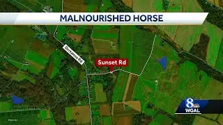 Emaciated horse rescued in Adams County