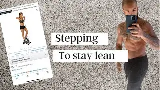 Sunny Health And Fitness Mini Stepper Review