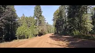 12282025 - Driving the last couple miles into a remote critter-camp