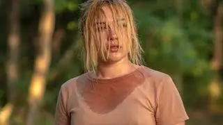 Das Ende Von Midsommar Erklärt