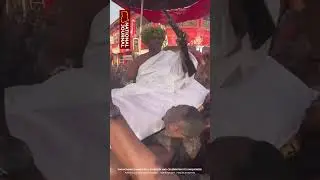 Paramount Chief of Dormaa Traditional Area