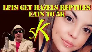 Friday - Lets Get Hazels Reptiles Eats to 5K - She Is A  Friend To This Community