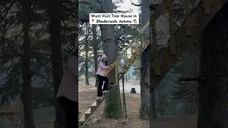 Tree House in Bhaderwah, Jammu | A Must Visit Place in Jammu | Jammu Tourism 🏡
