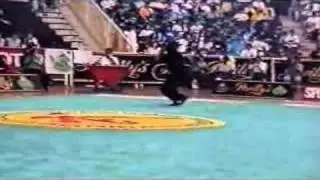 Wushu - Ray Park doing Chang Quan on the 93 Wushu Worlds