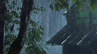 ⛈️ INSTANT Deep Sleep: Unstoppable Heavy Thunderstorm Sounds for Insomnia Relief (8 Hrs ASMR).