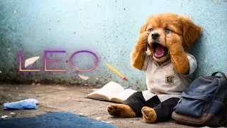 Poor Baby Dog Leo 🐶 | His Emotional Journey | Must Watch
