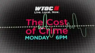 The Cost of Crime
