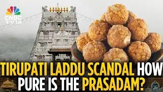 Tirupati Laddu Case: SIT Finds Massive Ghee Adulteration, Chargesheet To Be Filed Soon | N18V