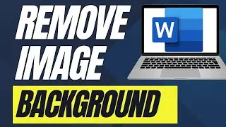 How To Remove Picture Background In Word (Full Guide)