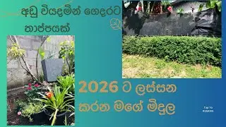 My Garden is waiting to 2026