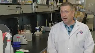 Emerging coronavirus research at VIDO