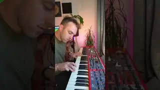 Smooth and creamy piano jamz 💫 #piano #jazz #beats #jazzbeats #lofi #jazzchords