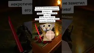ДНД научило меня не верить добрякам #dnd #днд #мем #dungeonsanddragons #подземельяидраконы #fyp
