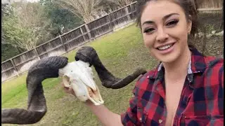 Cleaning My First Ram Skull