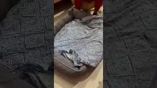 Easy DIY Dog&rsquo;s Old Bed into New One. #diy #dogs #doglover #cutedog #dogbed #diyfordog #adoptdontshop