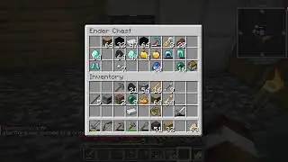 playing on the bloom minecraft server