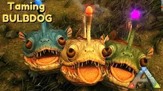 Ark : Taming  BULBDOG