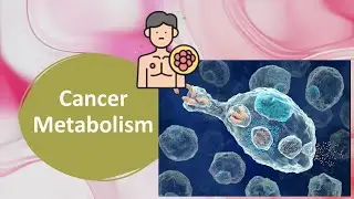 Cancer Metabolism Explained: How Cancer Cells Differ from Normal Cells