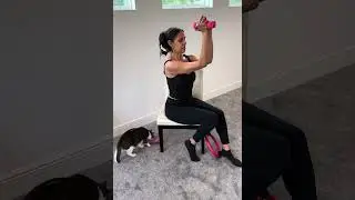 Beginners Pilates -15 min Full Body Chair Pilates