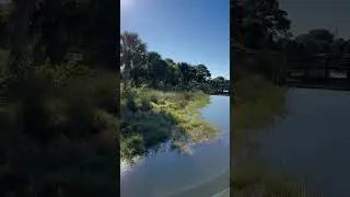 Florida winter vibes