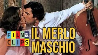 Il Merlo Maschio