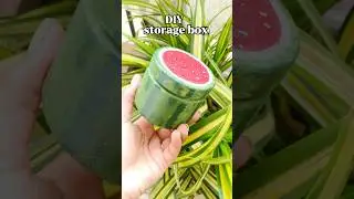 DIY storage box #diy #artshorts #shortsviral #diycraft