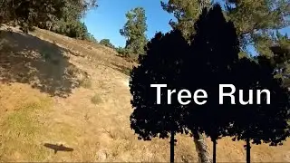 Tree Run