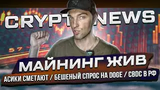 Майнинг ЖИВ! / Асики Сметают / Бешеный Спрос на Doggee / CBDC в РФ / Нашли Сатоши / CryptoNews №46
