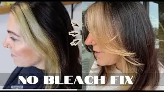 Fixing Green Hair with No Bleach | Hair Color Correction using Alkaline Toners