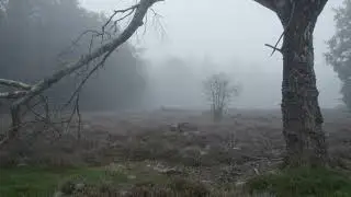 Heuvingerzand met Mist
