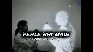 Pehle Bhi Main X Slowed Reverb | Arijit Singh | Heartbreak Mood | Lofi Sleep Mashup