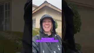 Day 1 Cross Country Pet Transportation for dogs and puppies #pettransportation #citizenshipper