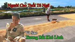 Vì Sao Người Cao Tuổi Gãy Xương,Rất Khó Lành .Sự Thật Khiến Nhiều Gia Đình Lo Lắng .