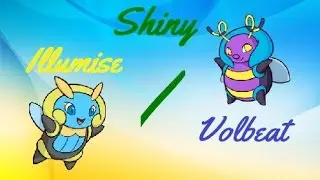 [LIVE!][Safari Zone] Win or Fail? Shiny Firefly After 3702 REs! (HG/SS)