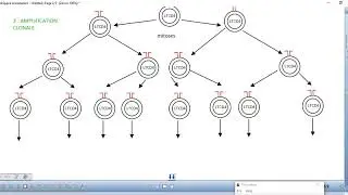 schema de l'activation des LTCD4