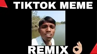 TikTok Meme PSYTrance Remix By M PavanJay