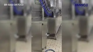 BR-FOOD &middot; Cleaning equipment for continuous advancement hooks - SLAUGHTER, BUTCHER, COOLING, GUTTING