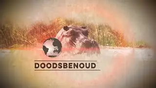 Doodsbenoud lioness charge