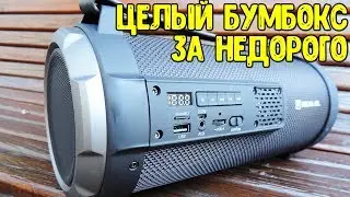 Мой Bluetooth друг на природе - Колонка REAL-EL X-720