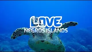 LOVE NEGROS ISLAND