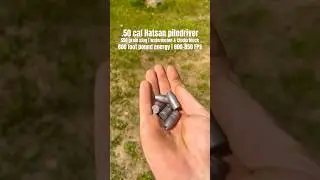 .50 cal Hatsan pile  driver  wrecks everything