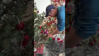 Κόνι Μεταξά - Άπλωσε μαζί μου τα καινούρια μου χάλια !