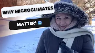 😭 Эта зима изменила мое отношение к своему саду 🥶