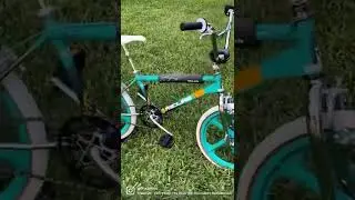 1986 Redline RL-20A Freestyle BMX Bike - 80s Old School