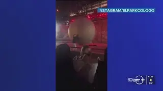 Disney World worker hit by prop boulder during 'Indiana Jones' show