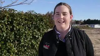 Tune into Angus Australia's Behind the Beef Podcast