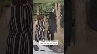 Bridesmaid Removes Snake With Her Bare Hands #shorts