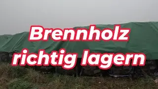Brennholz richtig lagern: Abdecken oder nicht? Ein Test